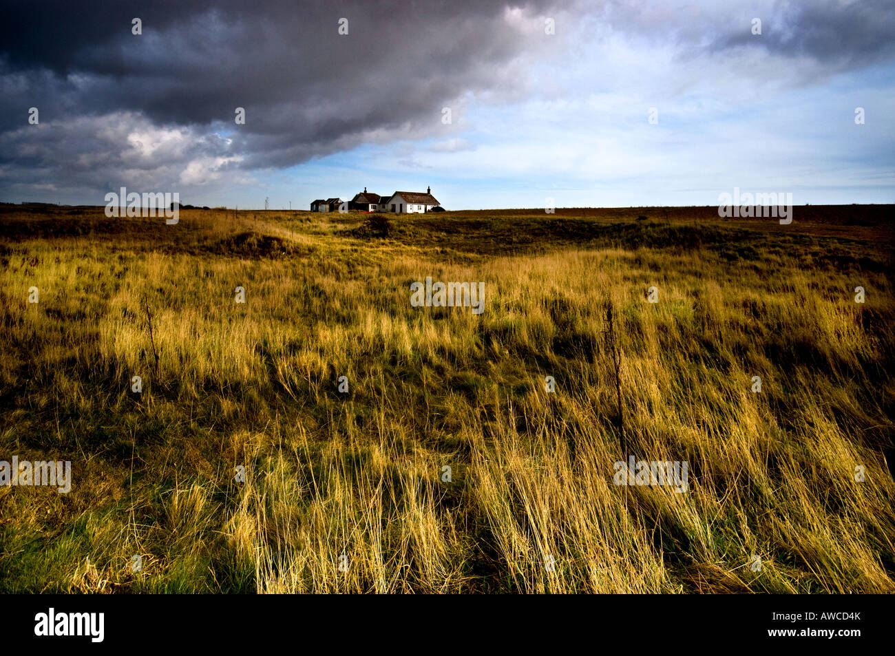 Strada di ciottoli Suffolk - una minacciosa meteo approcci anteriore una casa isolata a Shingle Street nel Suffolk. Foto Stock