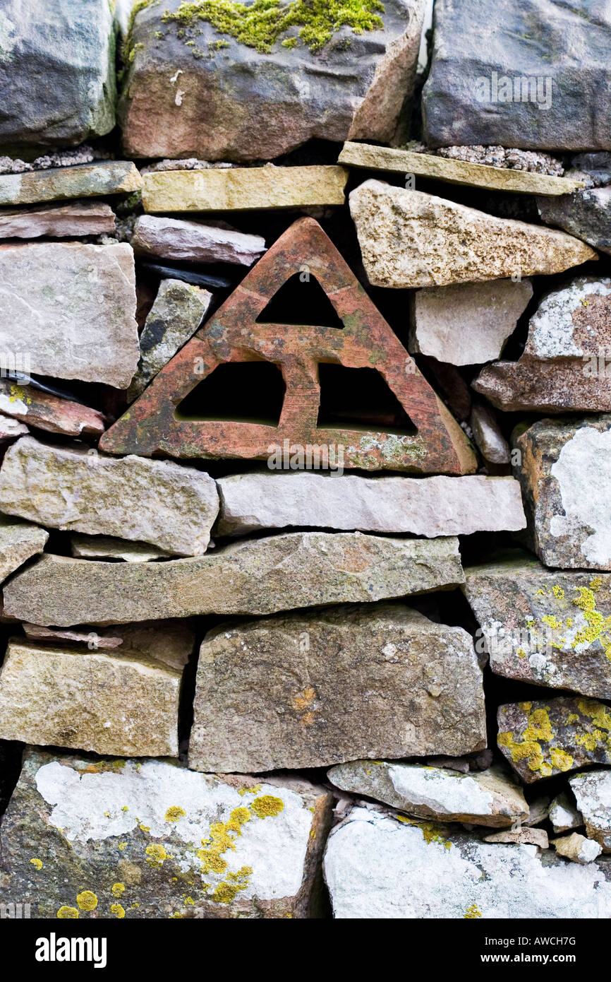 Asciugare la parete in pietra, Cumbria. Regno Unito Foto Stock
