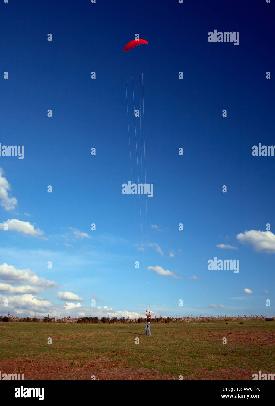 Nibbio volo su una collina gallese contro un cielo blu Foto Stock