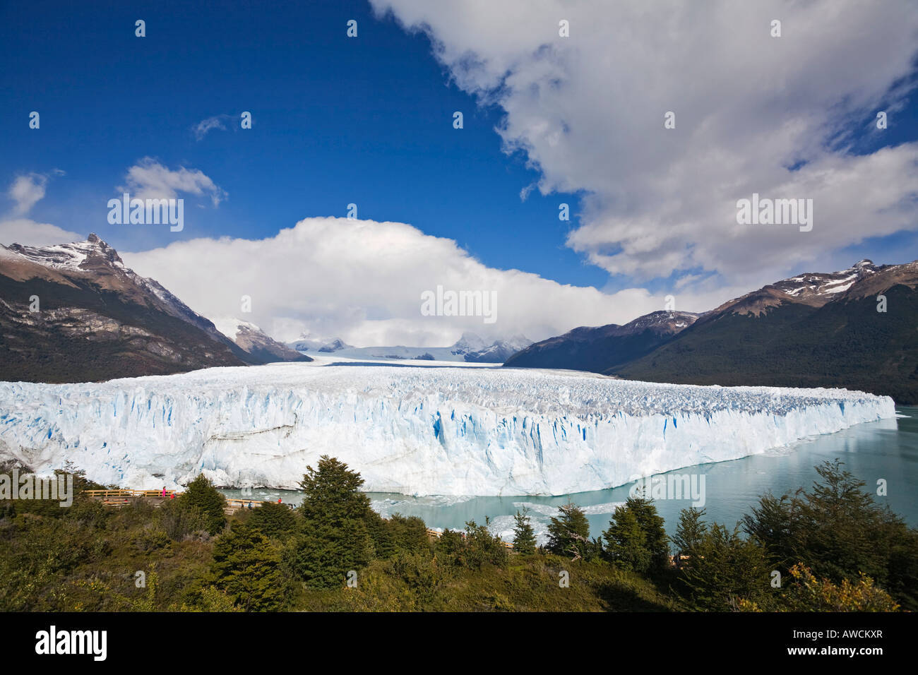 Ghiacciaio Perito Moreno, parco nazionale Los Glaciares, Argentina, Patagonia, Sud America Foto Stock