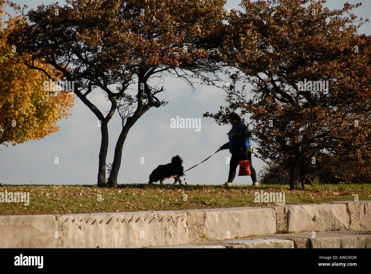 Le donne a piedi i loro cani su Chicago's waterfront. Foto Stock