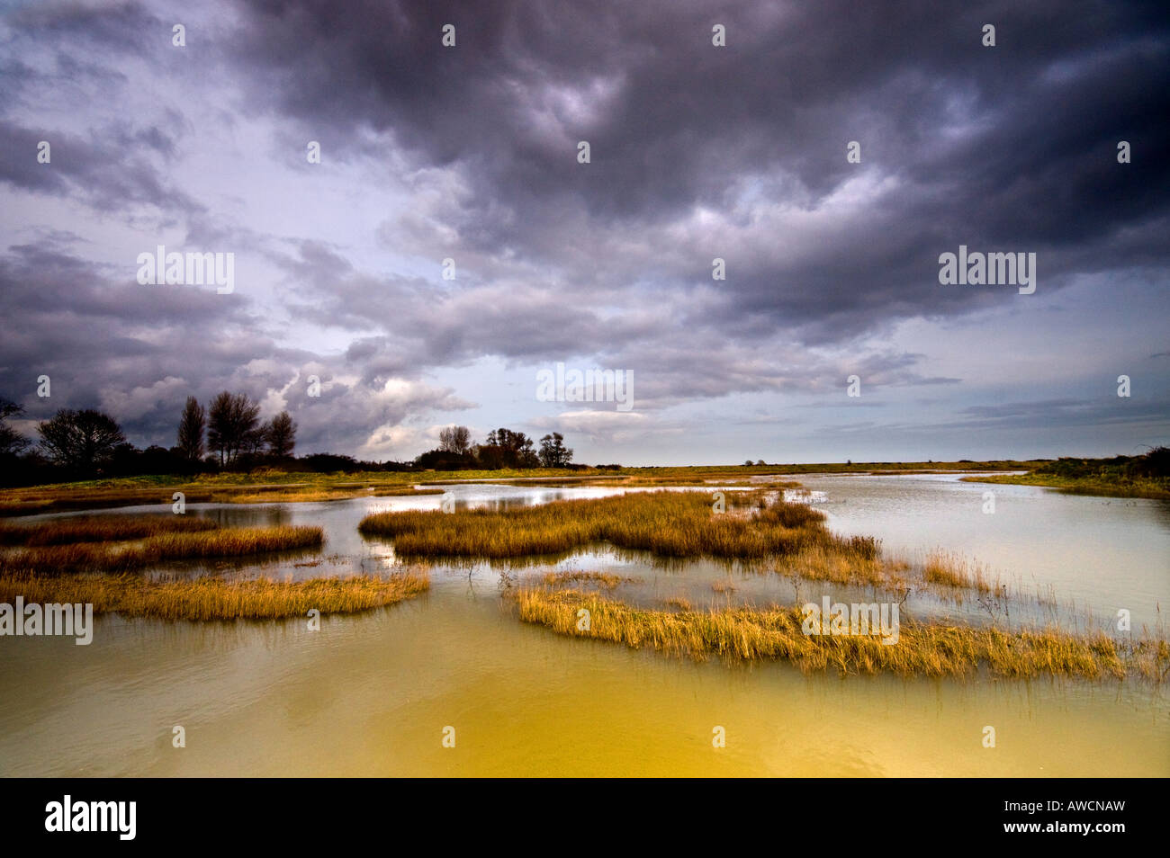 Simpsons Saltings alla strada di ciottoli nel Suffolk. Designato come un SSSI. Foto Stock