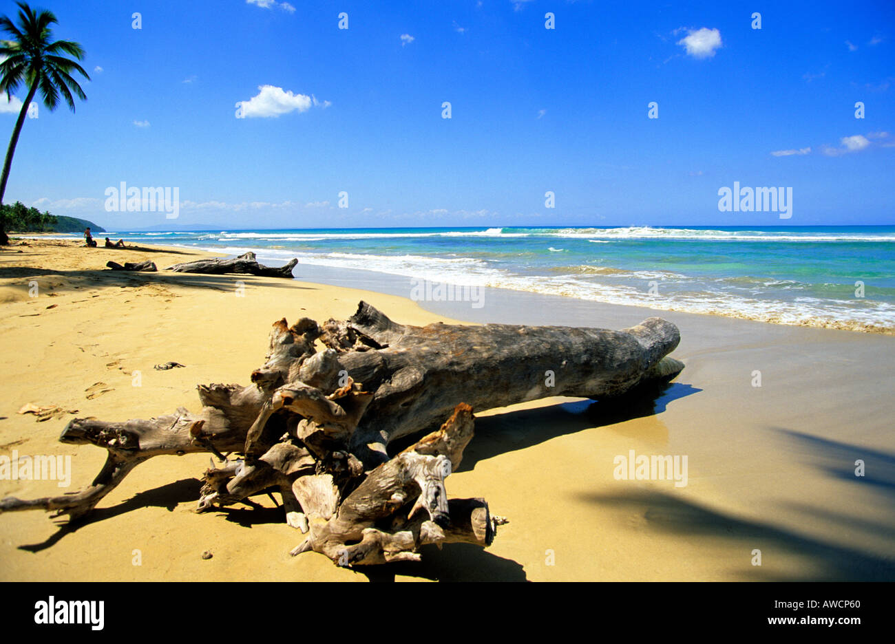 Caraibi repubblica dominicana costa nord di El portillo beach Foto Stock