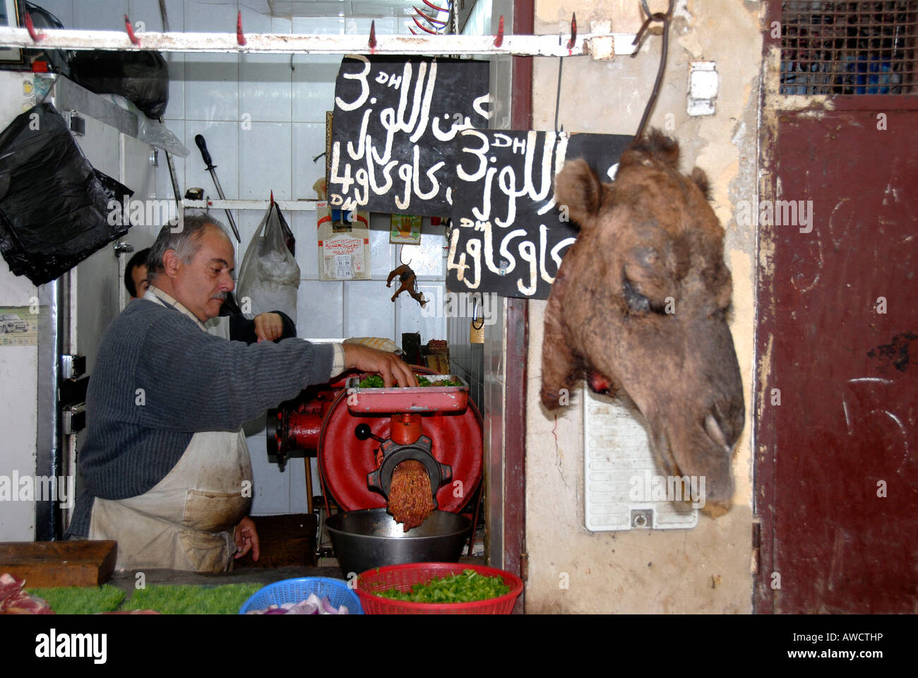 Macellaio per carne di cammello con la testa di un cammello medina Fes el Bali Marocco Foto Stock