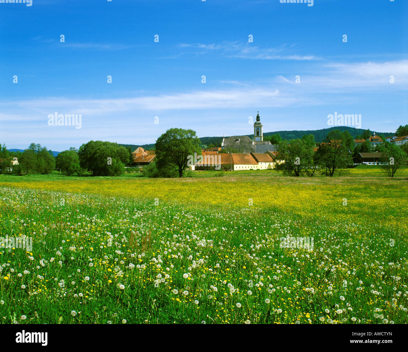 Rinchnach Bassa Baviera Germania Foto Stock