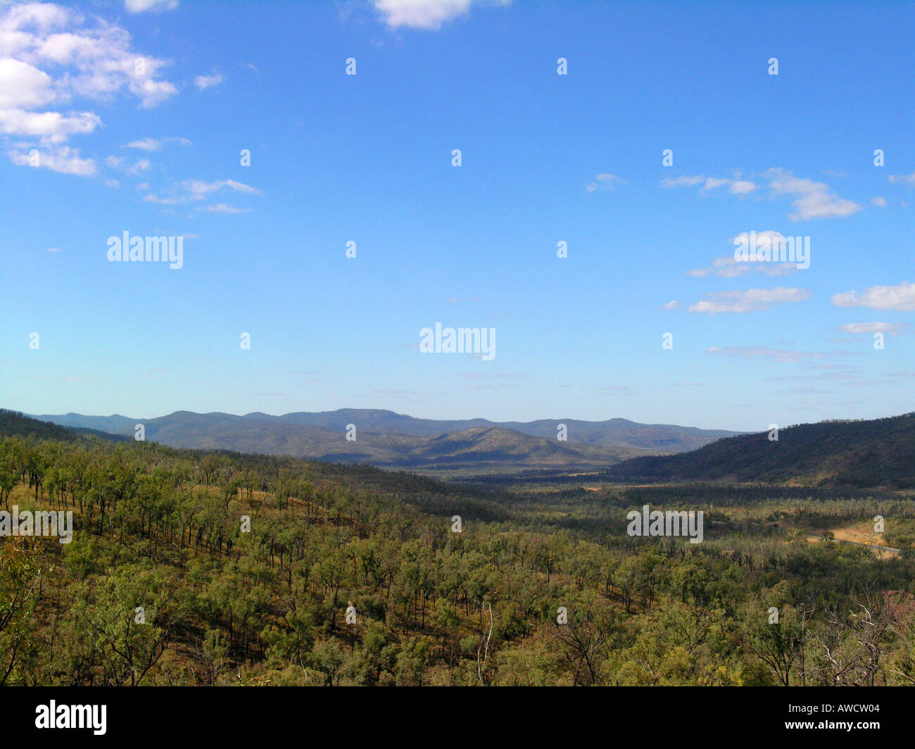 Gamma di Drummond Foto Stock