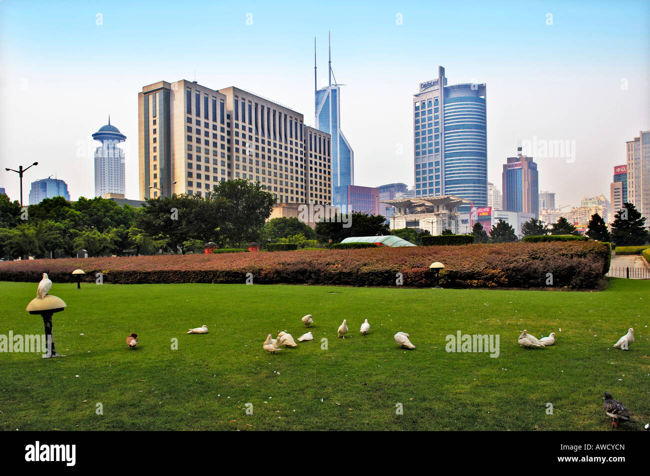 Parco pubblico, grattacieli, Shanghai, Cina e Asia Foto Stock
