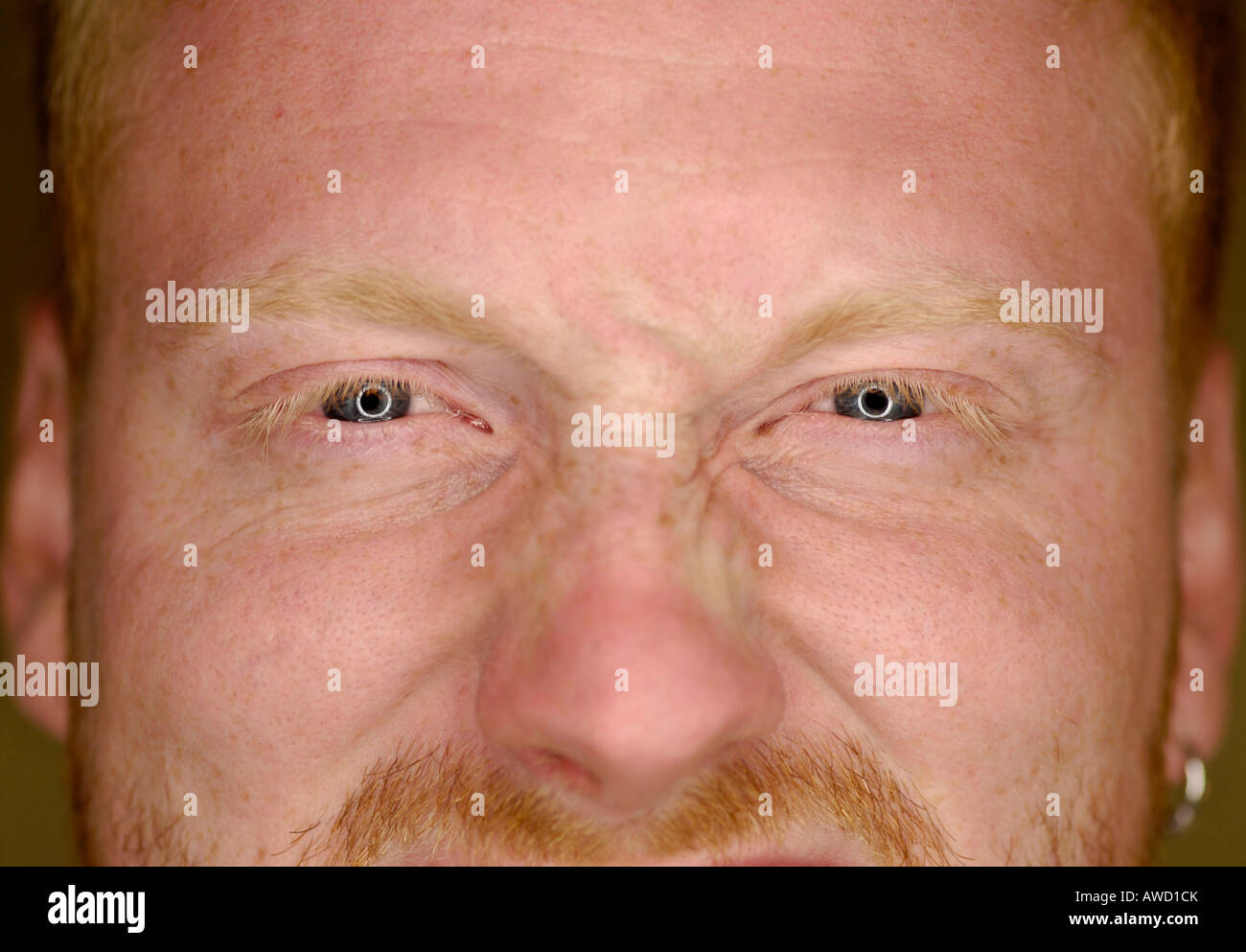 Redheaded giovani il volto dell'uomo Foto Stock