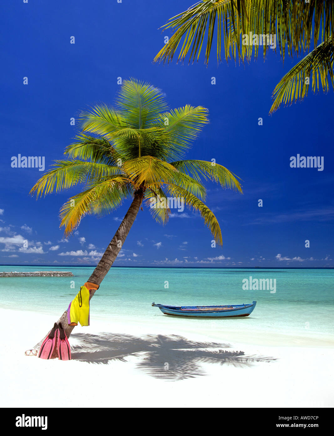 Palm tree, spiaggia, equipaggiamento da snorkeling e barca, Maldive, Oceano Indiano Foto Stock