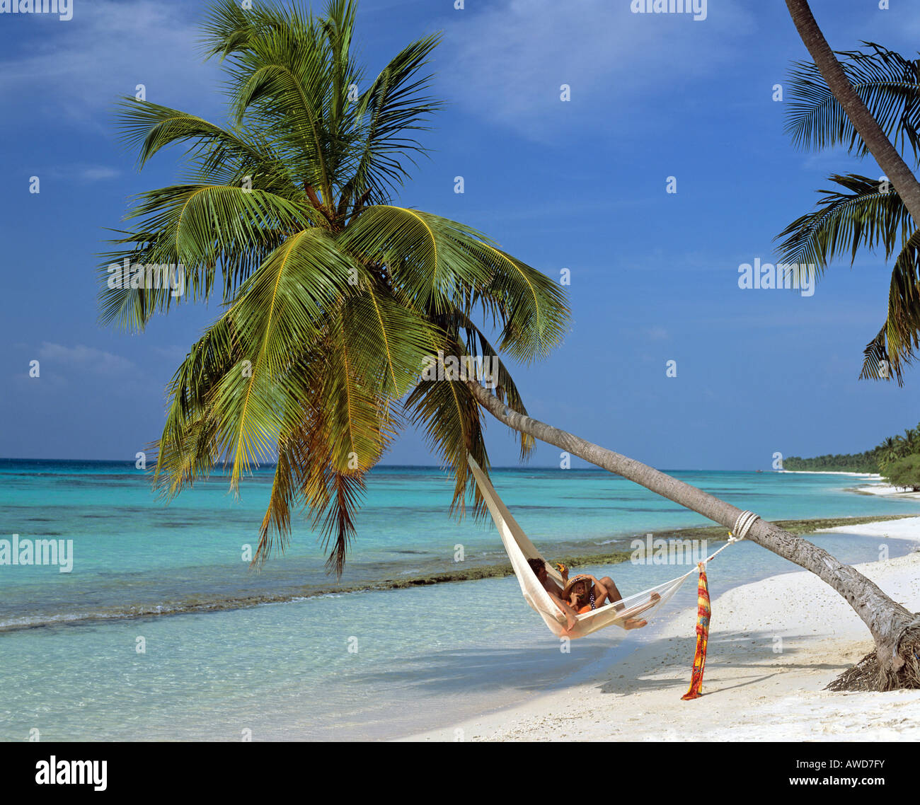 Palm Tree sulla spiaggia appesa sopra l'acqua, giovane coppia amaca, Maldive, Oceano Indiano Foto Stock