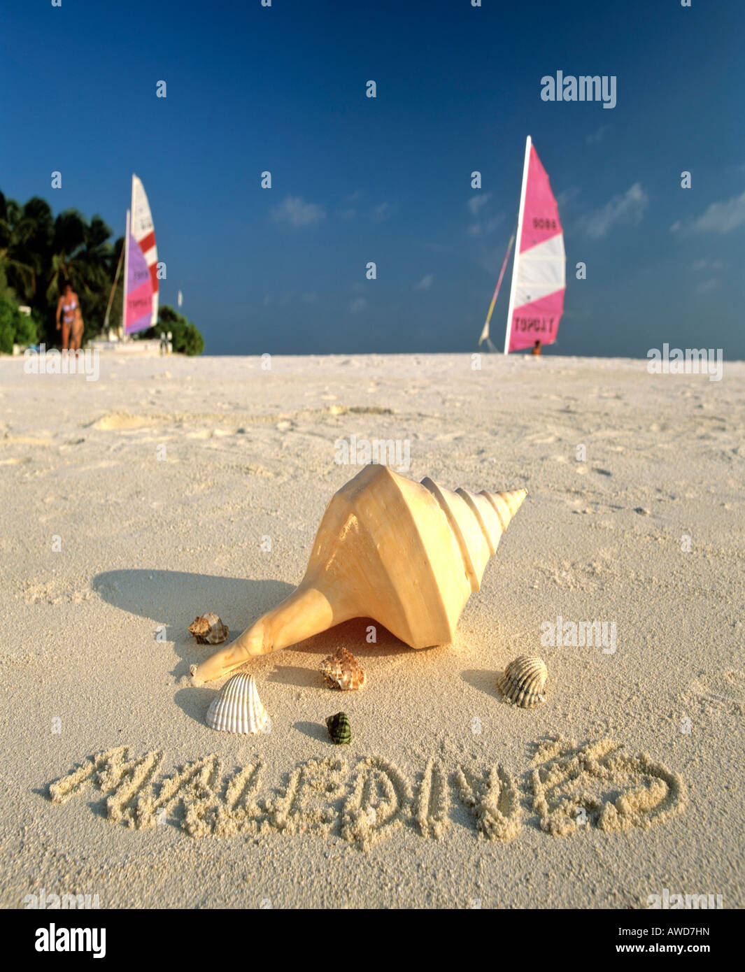 Conchiglie sulla spiaggia, 'Maldives' scritto nella sabbia, Maldive, Oceano Indiano Foto Stock