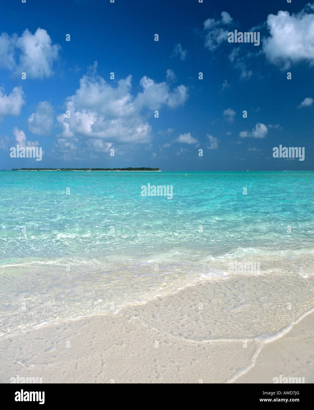 La spiaggia, l'isola, Maldive, Oceano Indiano Foto Stock