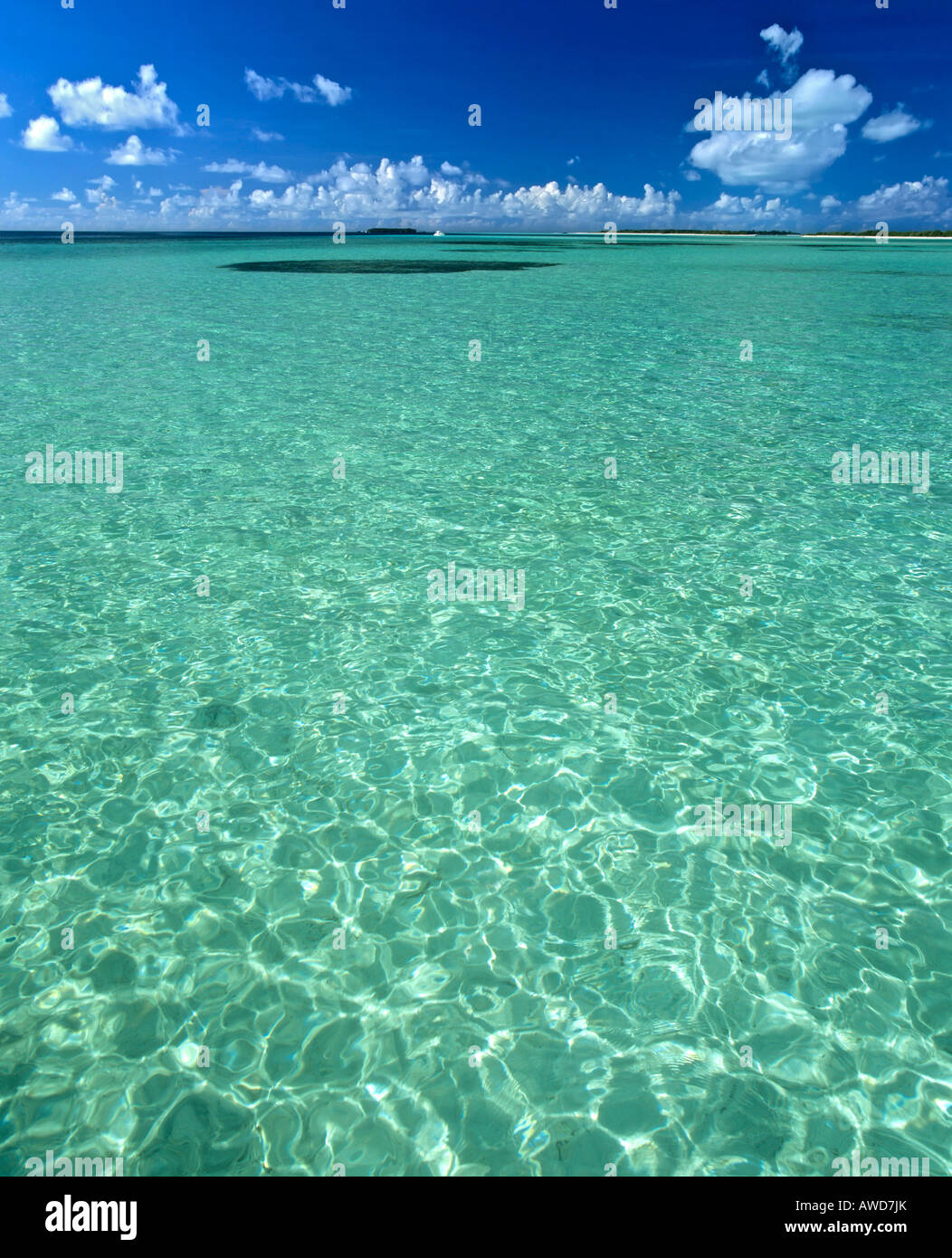 Acque turchesi, isole, vista di nuvole, Maldive, Oceano Indiano Foto Stock