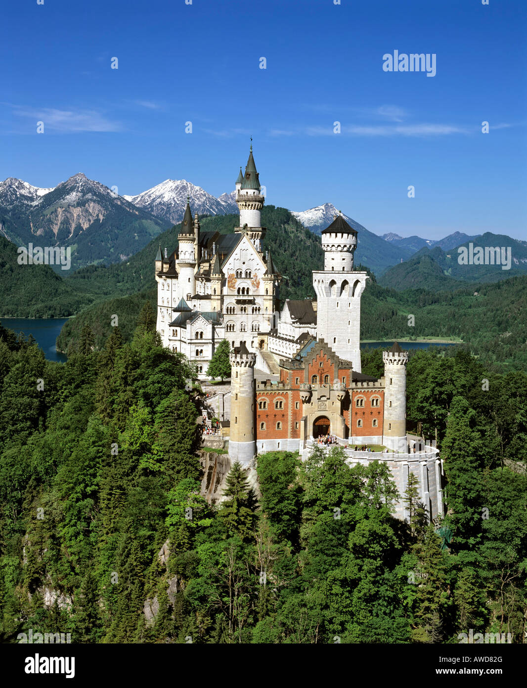 Il Castello di Neuschwanstein in estate, Panorama, Alp lago, Fuessen, Thannheimer montagne, Allgaeu, Baviera, Germania Foto Stock