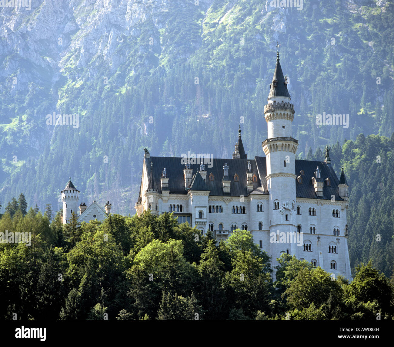 Il Castello di Neuschwanstein, vista da ovest, Allgaeu, Baviera, Germania Foto Stock