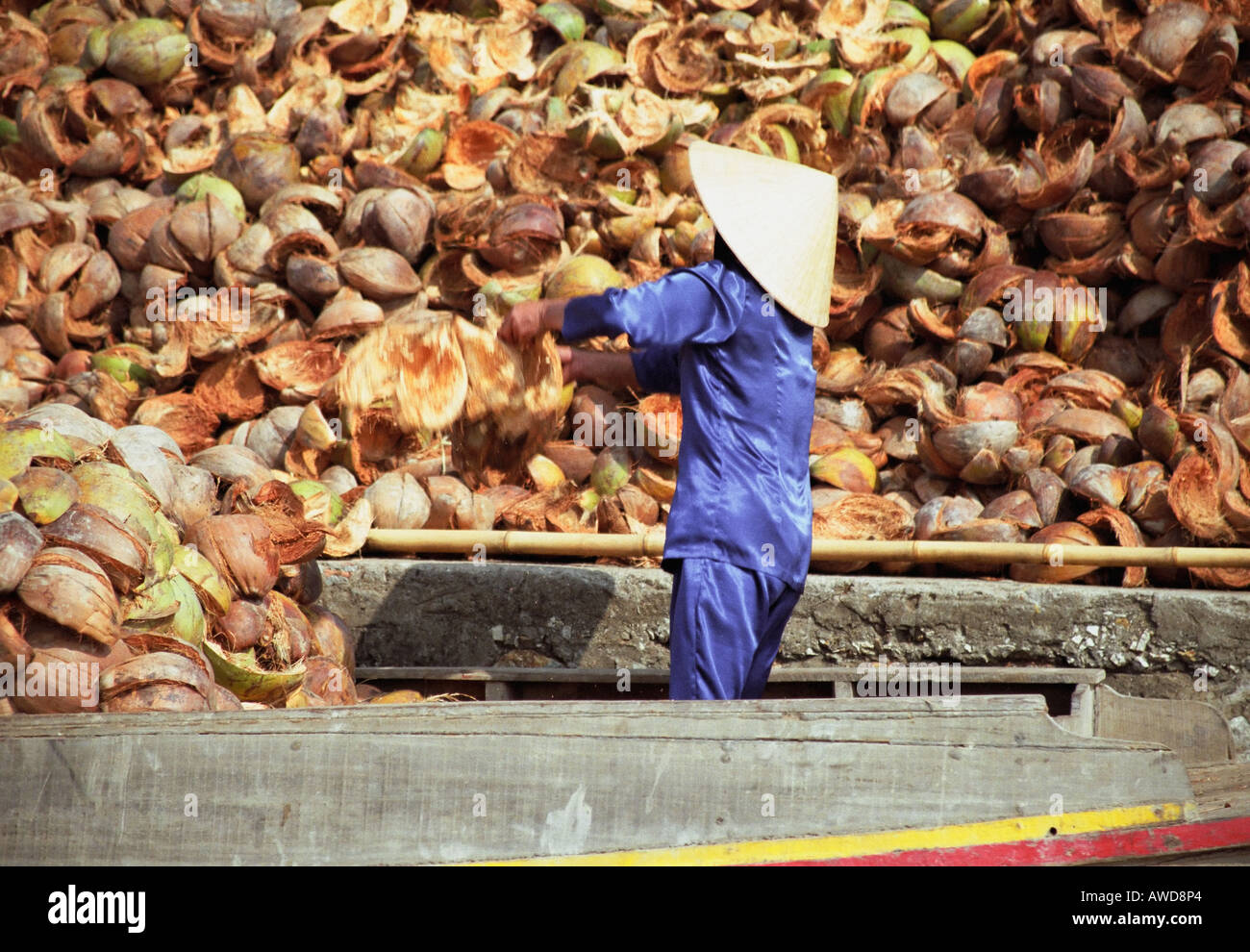 Donna gettando gusci di noce di cocco lontano Foto Stock