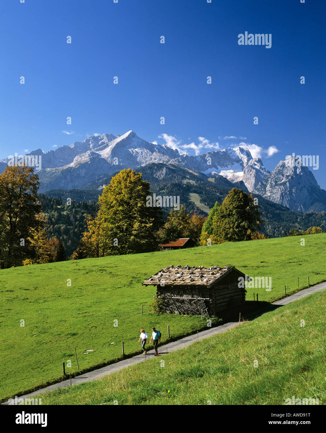 Sentiero escursionistico vicino a Garmisch-Partenkirchen, autunno, Wetterstein mountain range, Alta Baviera, Germania Foto Stock