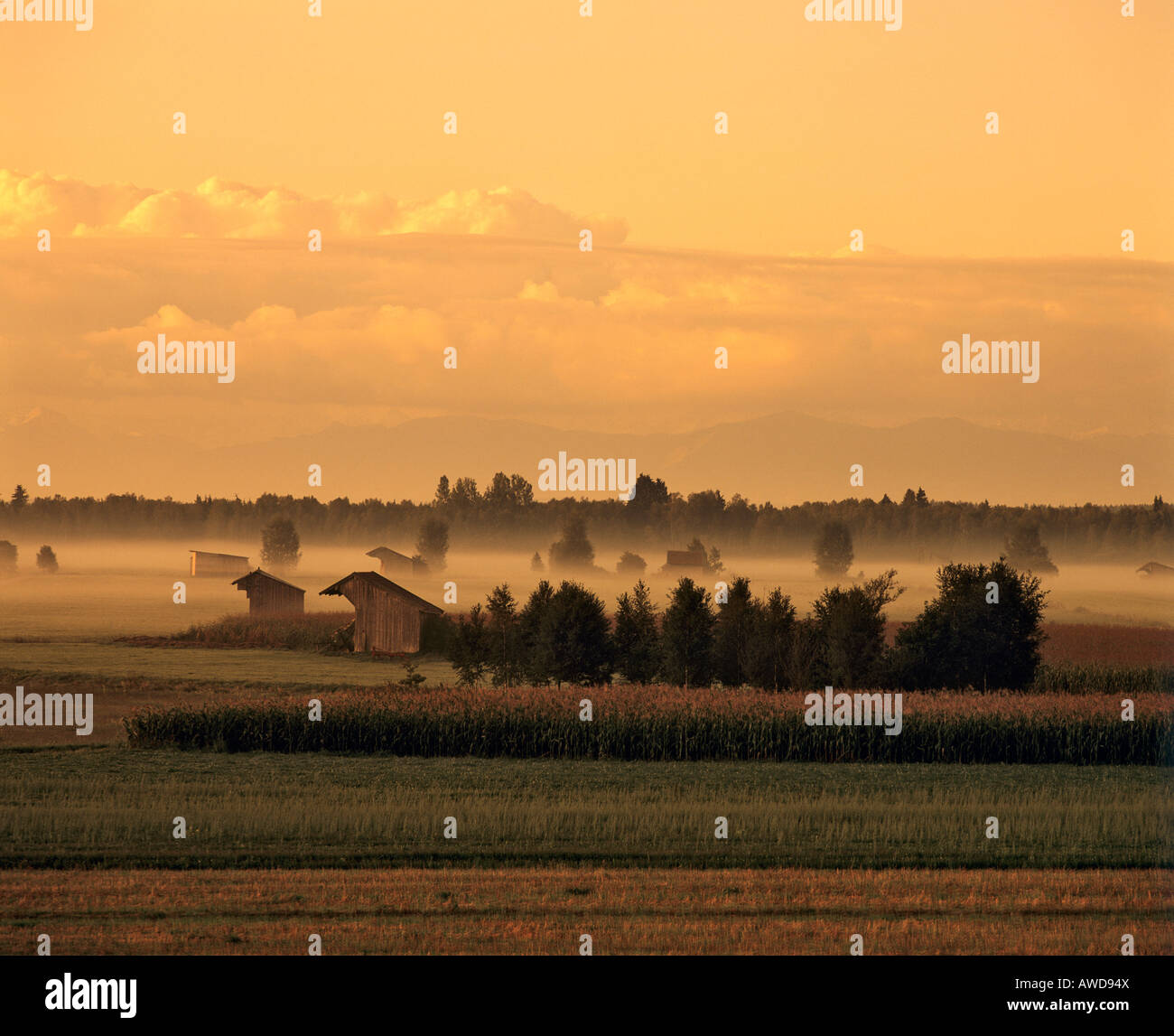Atmosfera mattutina vicino Raisting, bog, Alta Baviera, Germania Foto Stock