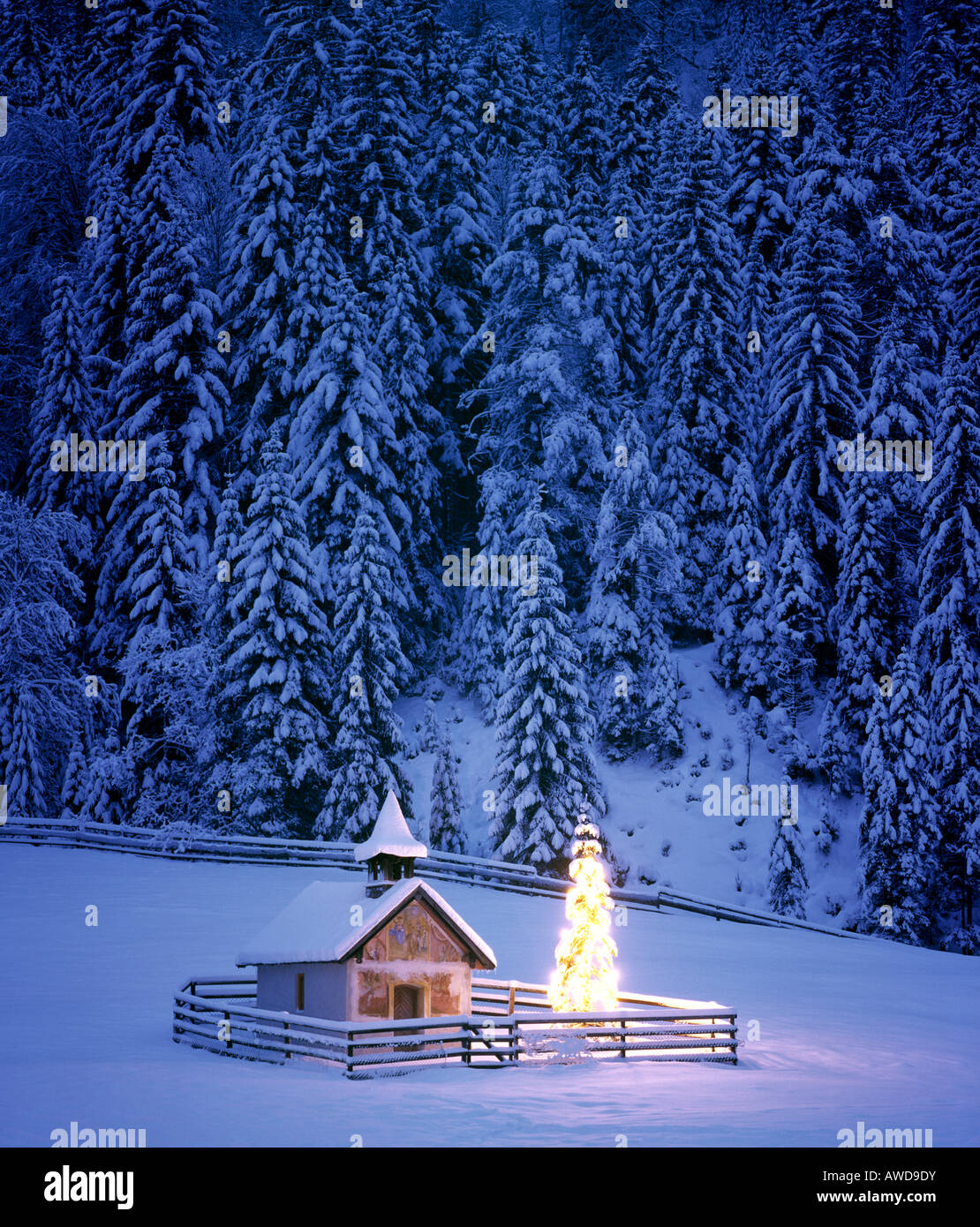 Cappella, albero di Natale vicino Elmau, Alta Baviera, Baviera, Germania, Europa Foto Stock