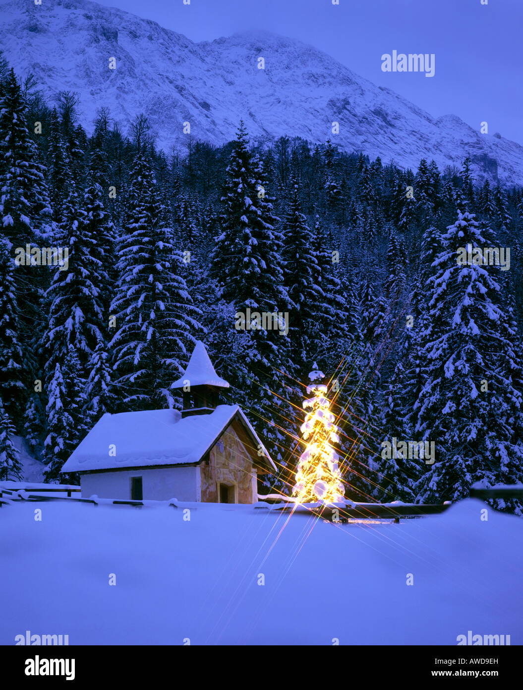 Cappella, albero di Natale vicino Elmau, Alta Baviera, Baviera, Germania, Europa Foto Stock