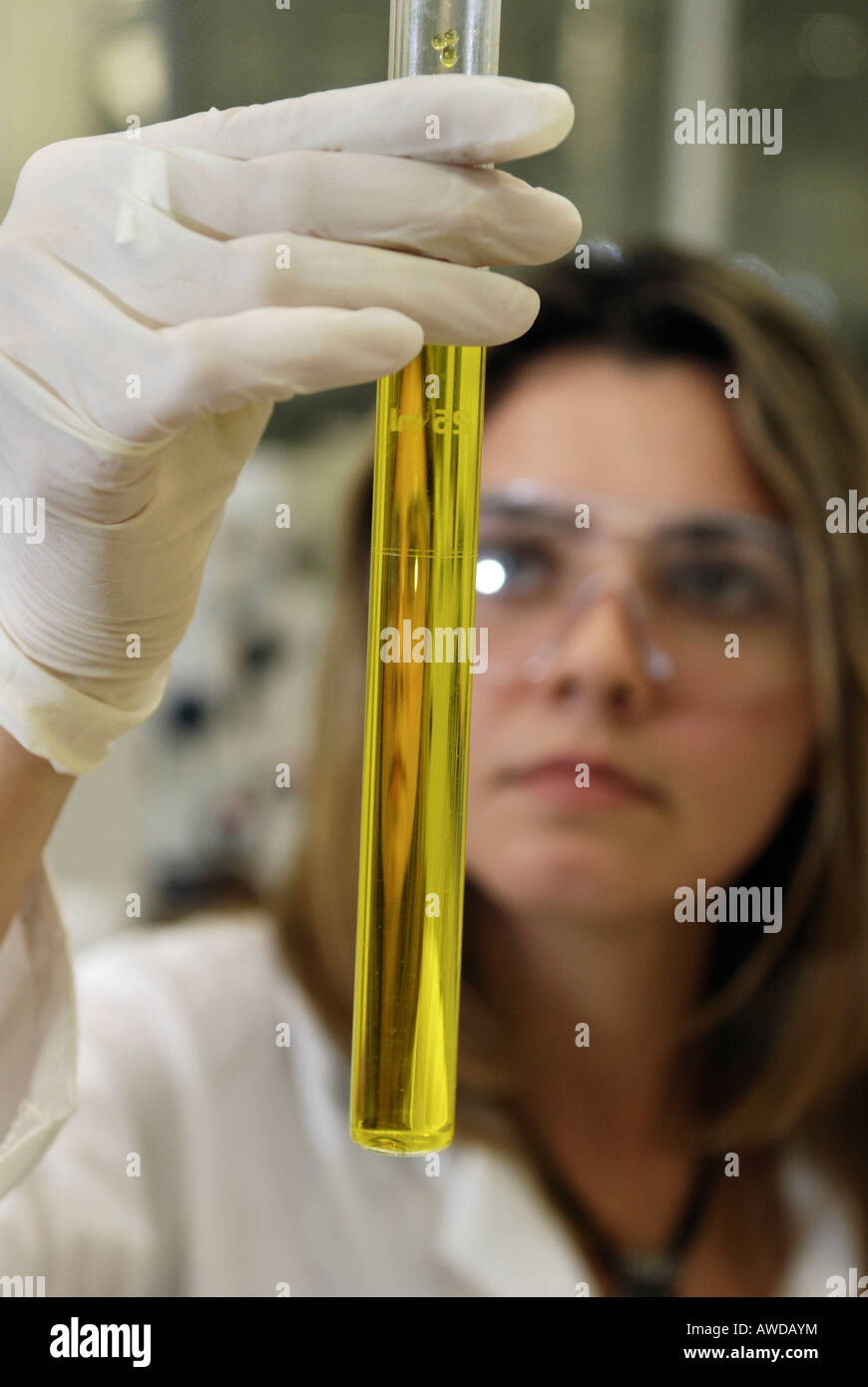 Il controllo di qualità del Brasile il dado olio dalla foresta amazzonica nel laboratorio di azienda di cosmetici Natura, Belem, Brasile Foto Stock