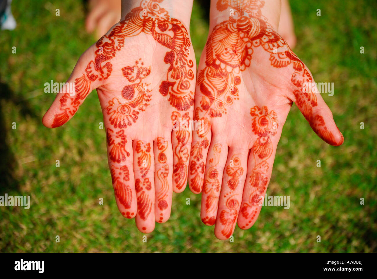 Henna Tattoo a mano, Muscat Oman Foto Stock