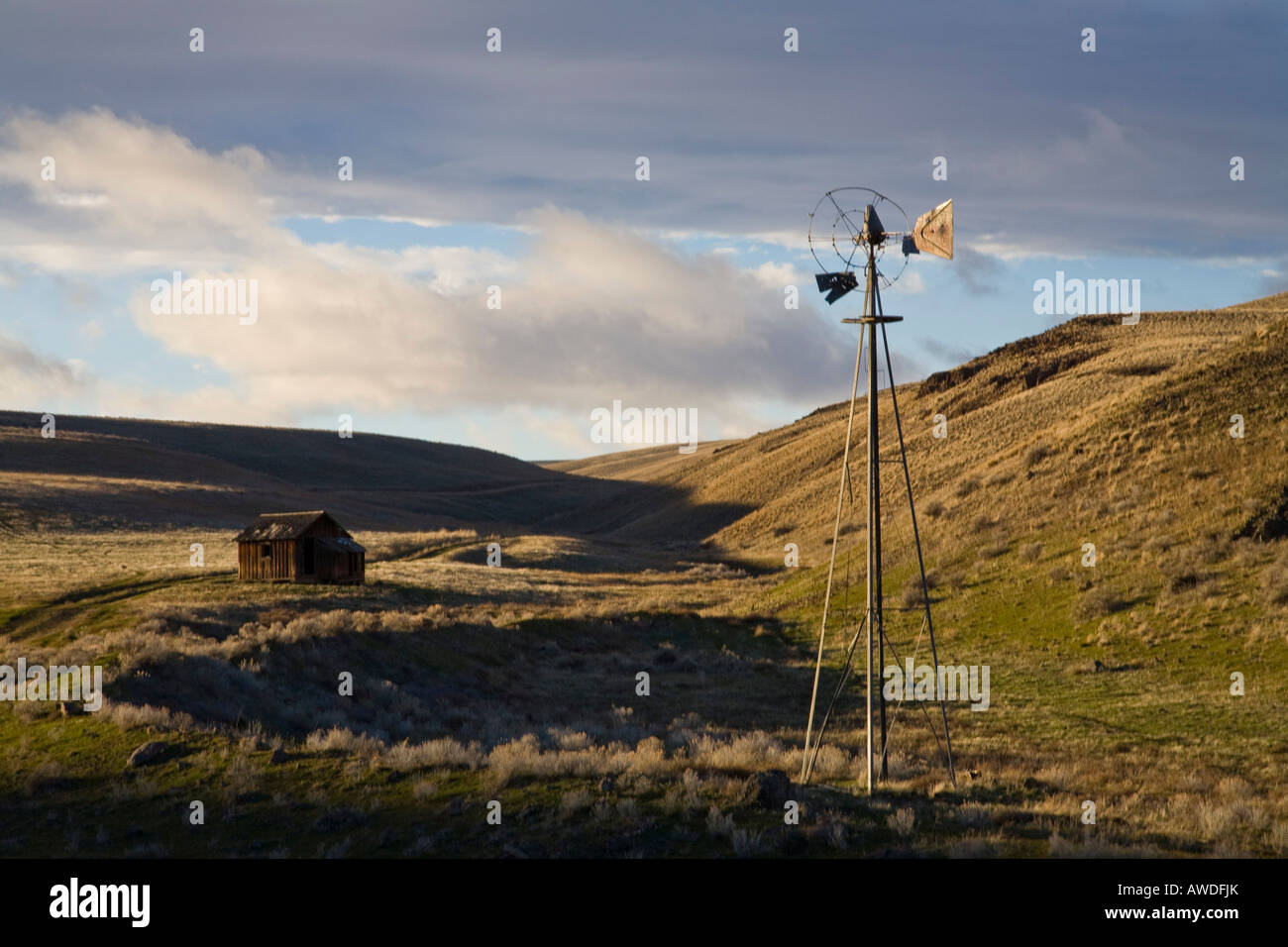 I coloni homestead sulla Eastern Oregon ranch la terra con il mulino a vento Foto Stock