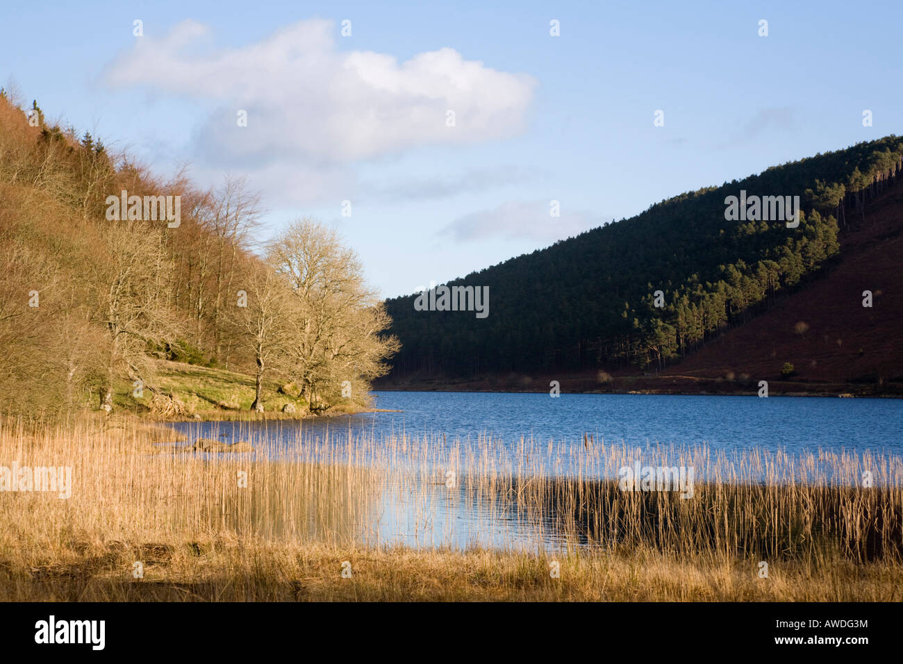 Lago Llyn Geirionydd nel Parco Nazionale di Snowdonia in inverno. Trefew Conwy Galles Del Nord Regno Unito Foto Stock