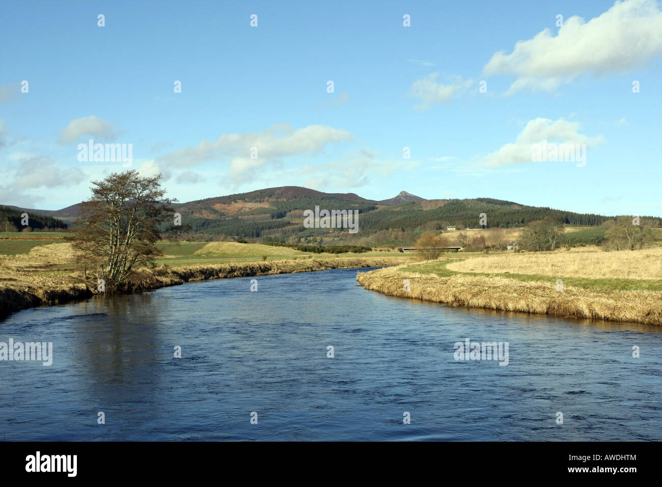 Il Fiume Don in Aberdeenshire, Scozia, con lo sfondo della montagna di Bennachie Foto Stock