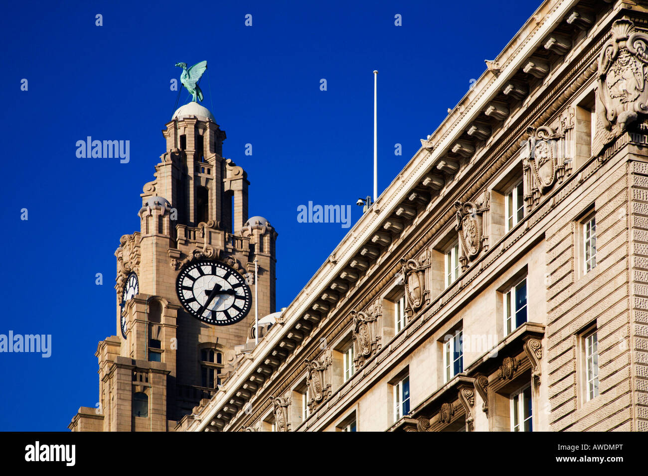 Royal Liver Building Liverpool Merseyside England Foto Stock