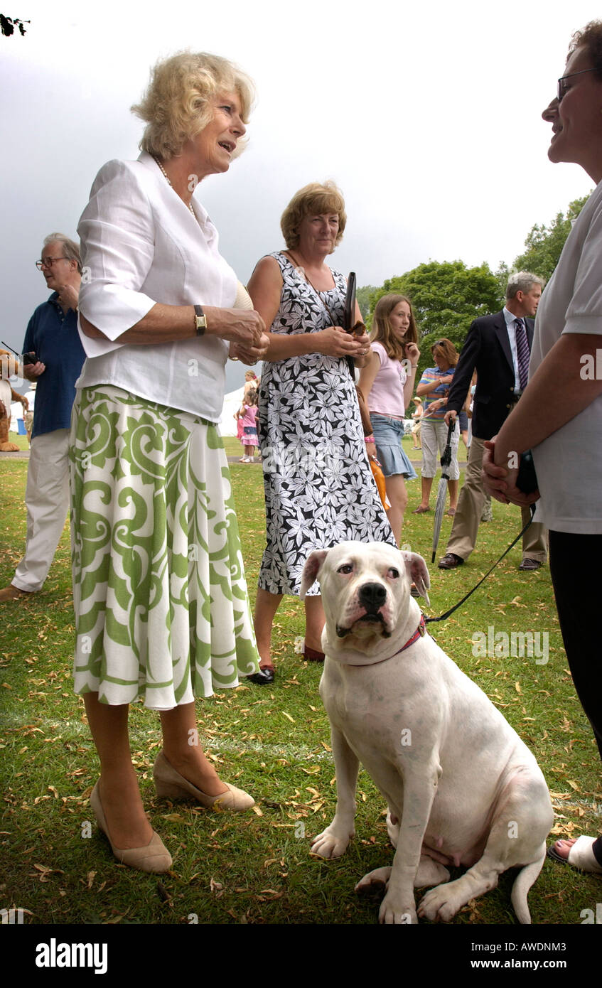 La duchessa di Cornovaglia formalmente Camilla Parker Bowles presso la struttura Bowood dog show e la fiera di paese Foto Stock