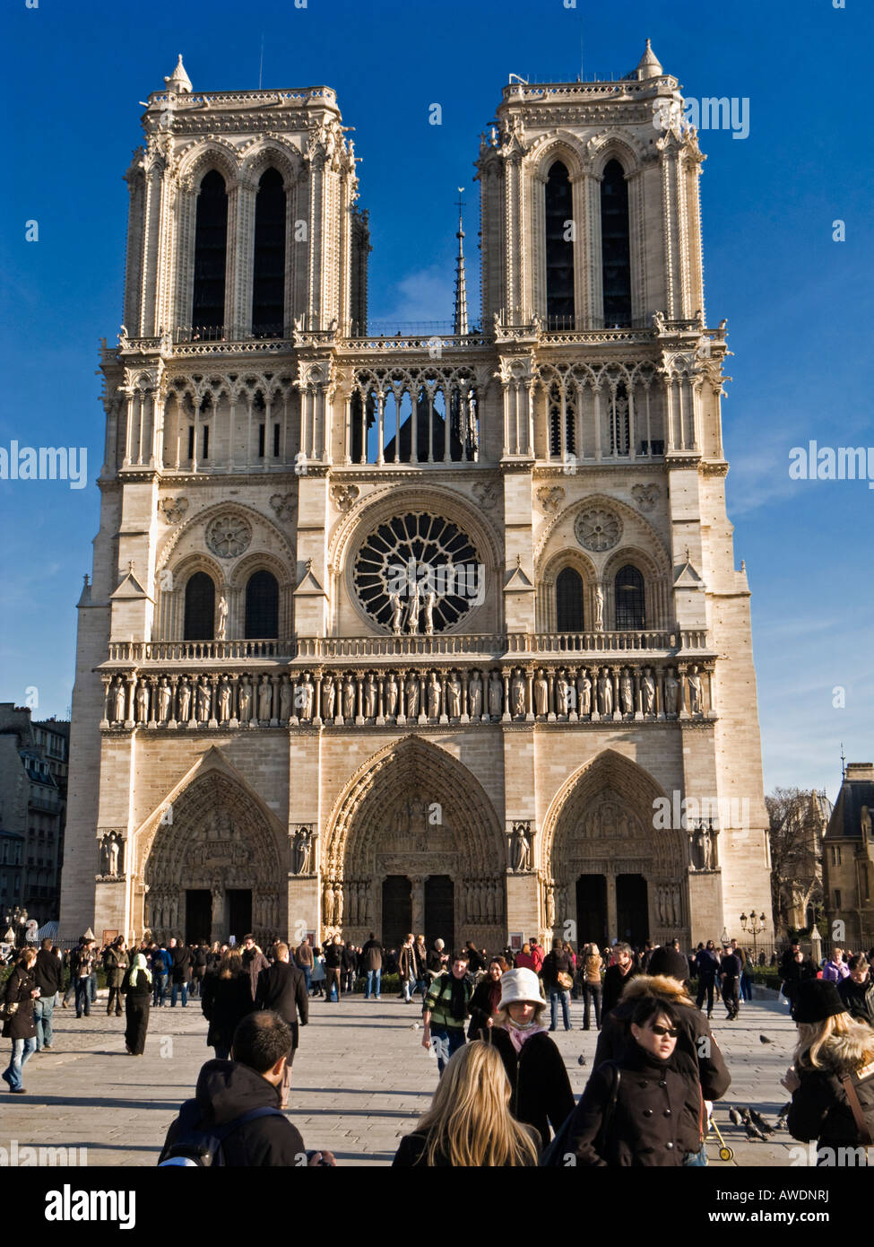 I turisti alla cattedrale di Notre Dame di Parigi in autunno / inverno, visite turistiche Foto Stock