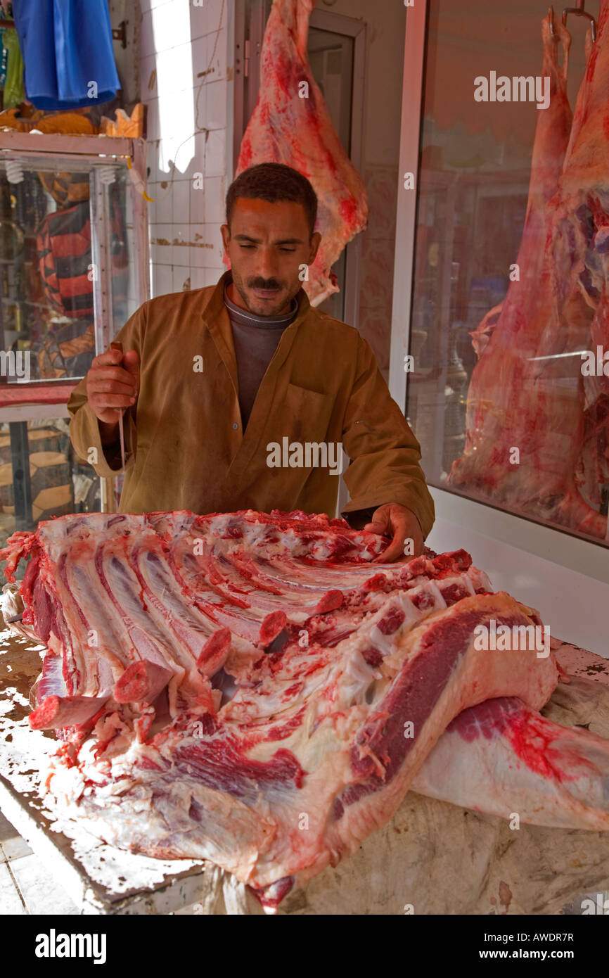Macellaio egiziano durante il lavoro di taglio di carne di cammello a Sharm vecchia Sinai Foto Stock