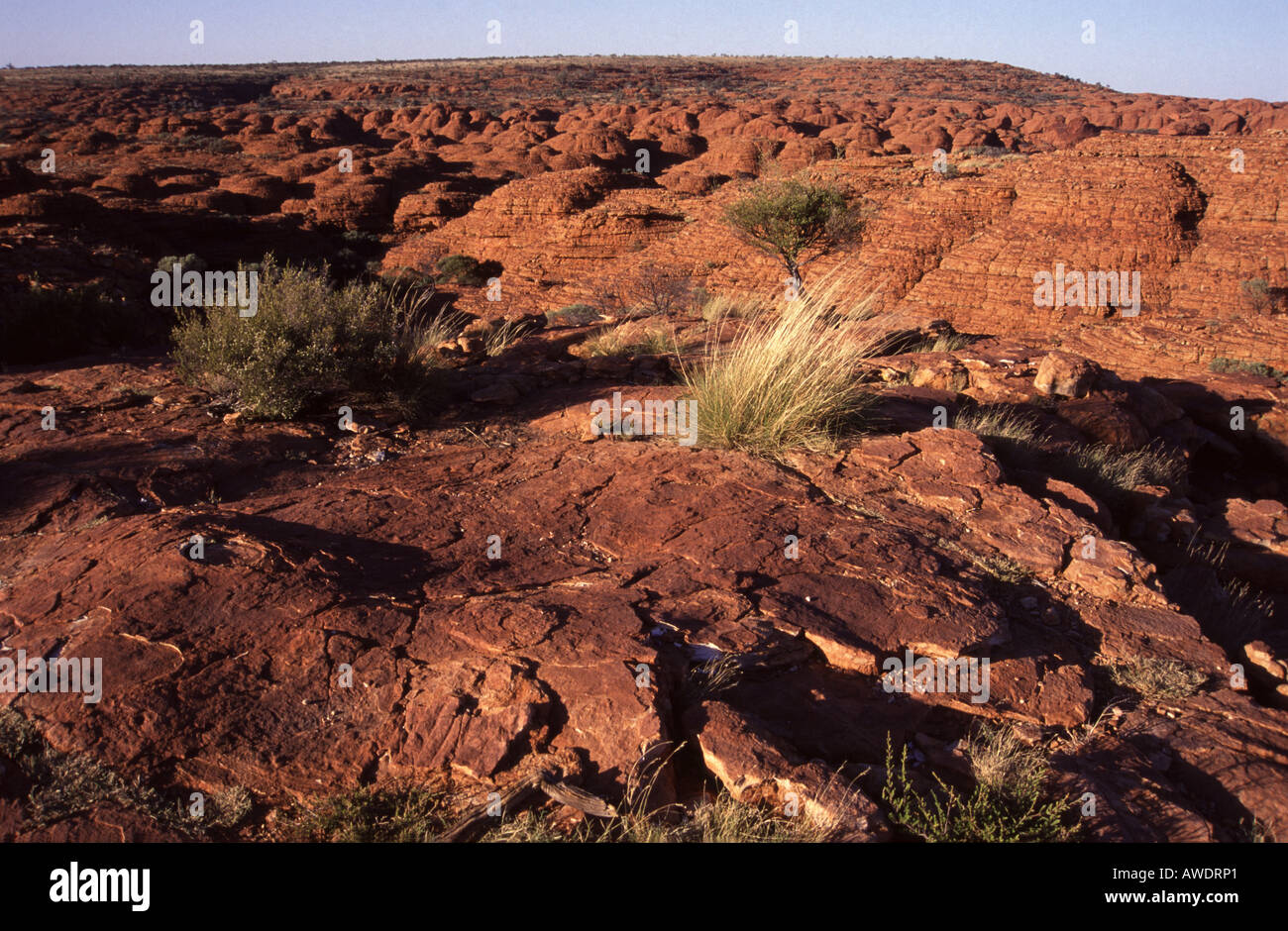 Arnhem Land, il Parco Nazionale Kakadu, Territorio del Nord, l'Australia Foto Stock