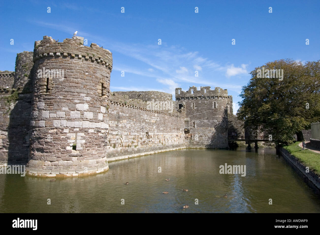 A sud ovest della cortina esterna parete e fossato Beaumaris Castle Anglesey North Wales Foto Stock