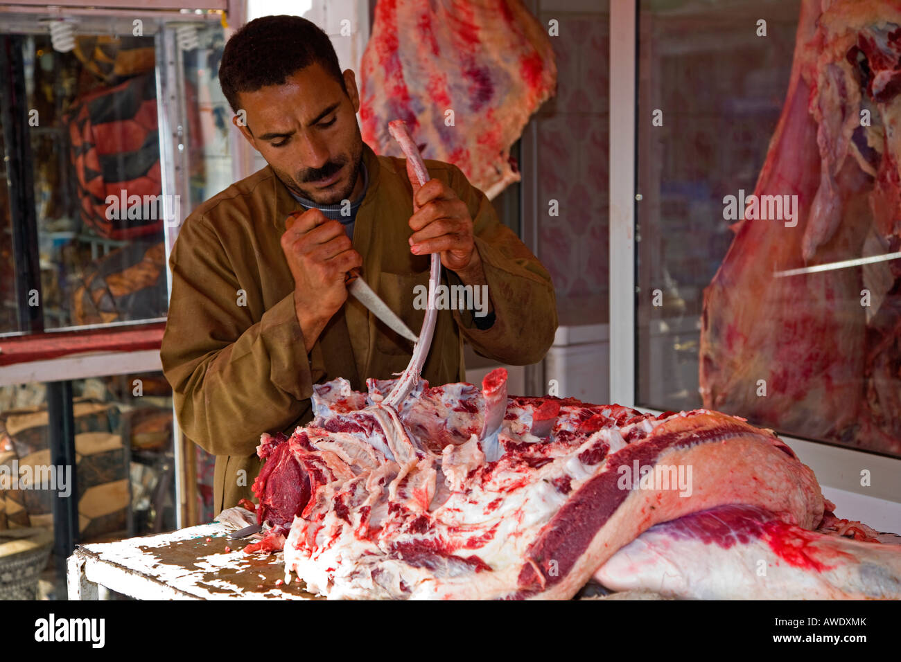 Macellaio egiziano durante il lavoro di taglio di carne di cammello a Sharm vecchia Sinai egitto Foto Stock