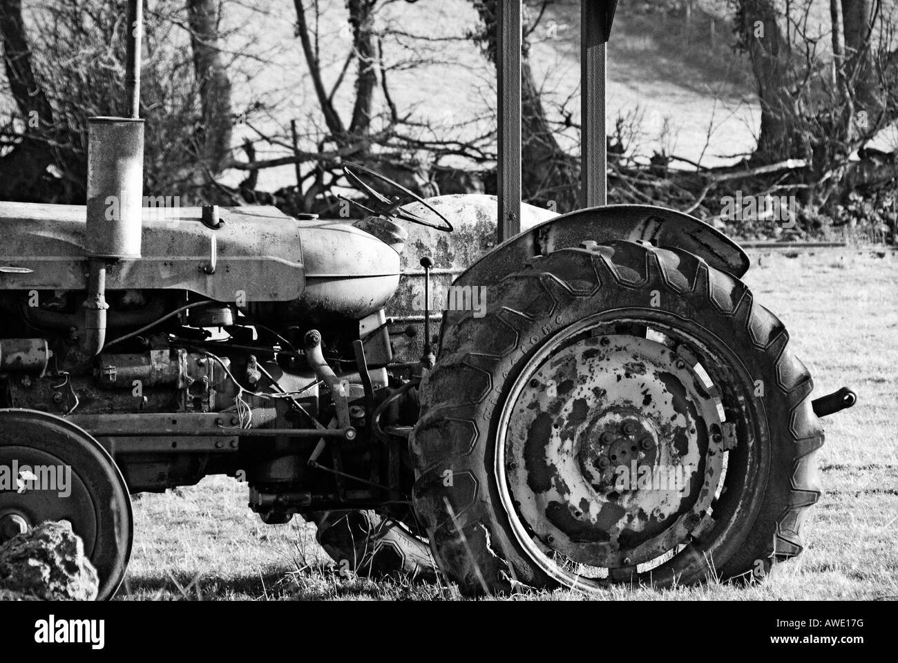 Vecchia fattoria trattore Foto Stock