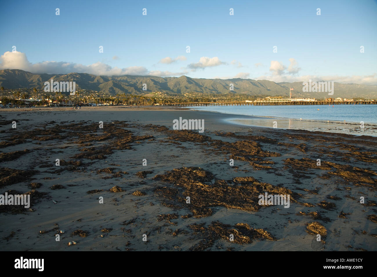 CALIFORNIA Santa Barbara alghe ad ovest sulla spiaggia con la bassa marea Stearns Wharf e montagna in background Foto Stock