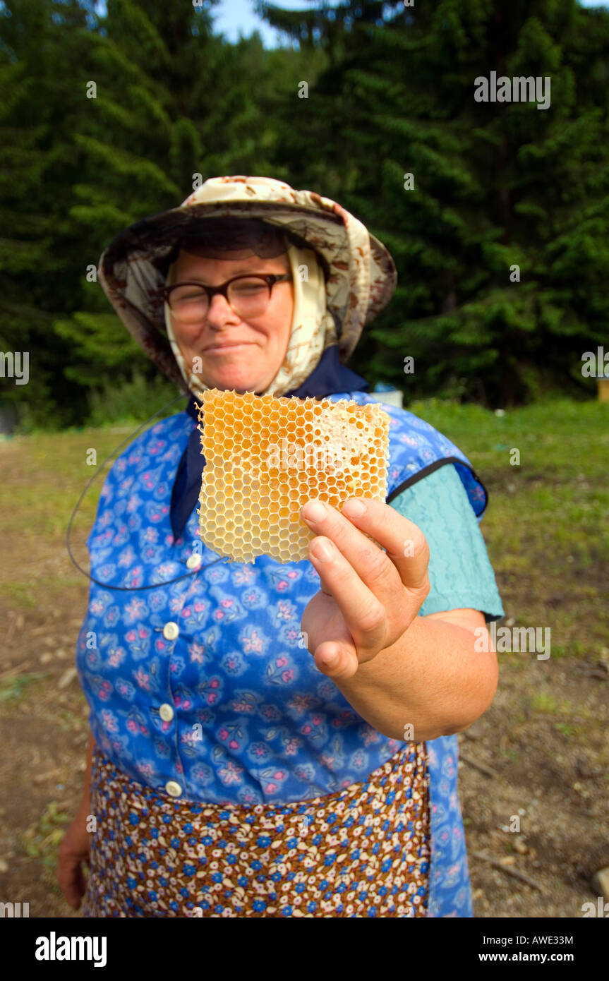 Europa Romania Maramures apicoltore che offre snack dolce Foto Stock