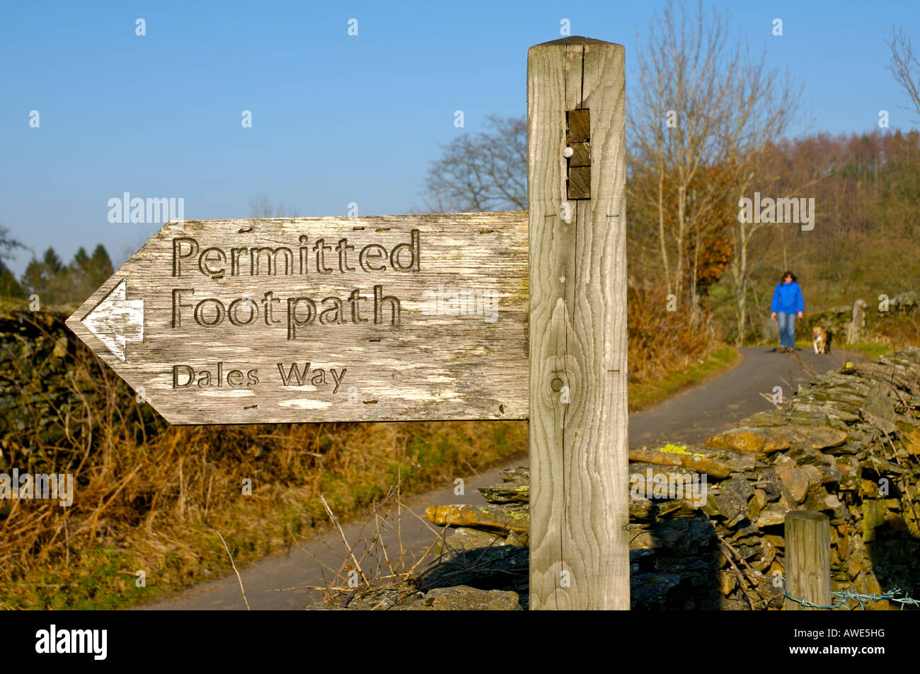 Dales modo segno e la donna che cammina cane, vicino a Bowness, Parco Nazionale del Distretto dei Laghi, Cumbria, England, Regno Unito Foto Stock