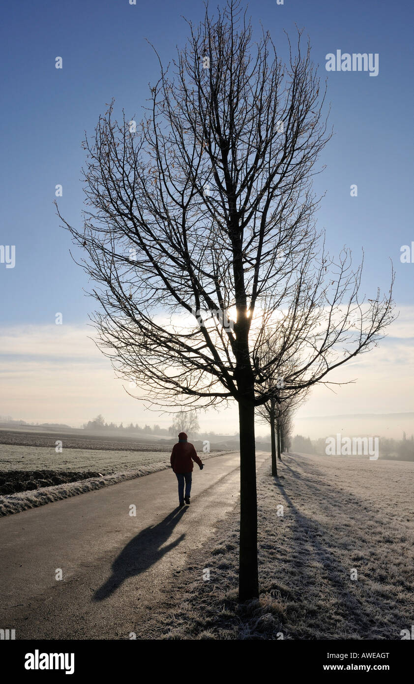 Passeggiata mattutina vicino a Waldenbuch, Baden-Wuerttemberg, Germania Foto Stock