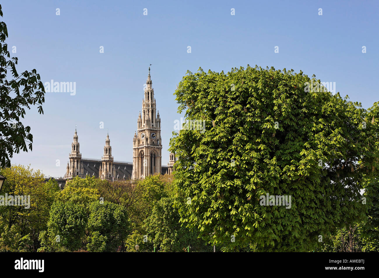 Vista del municipio dal Volksgarten, Vienna, Austria, Europa Foto Stock