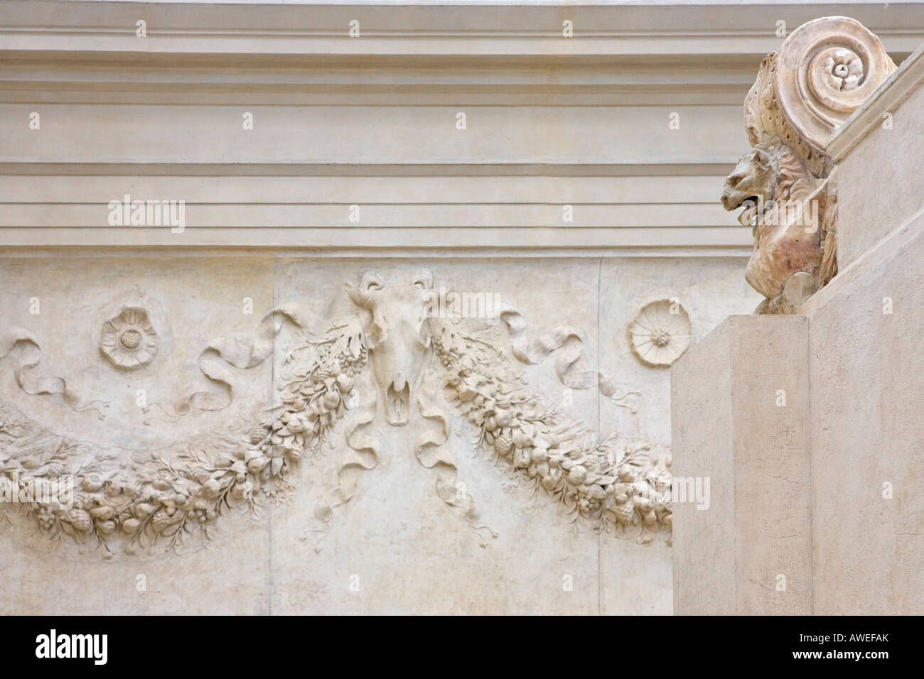 Garland- e bucranium rilievo sulla parete laterale dell'altare a Ara Pacis Augustae, Roma, Italia, Europa Foto Stock