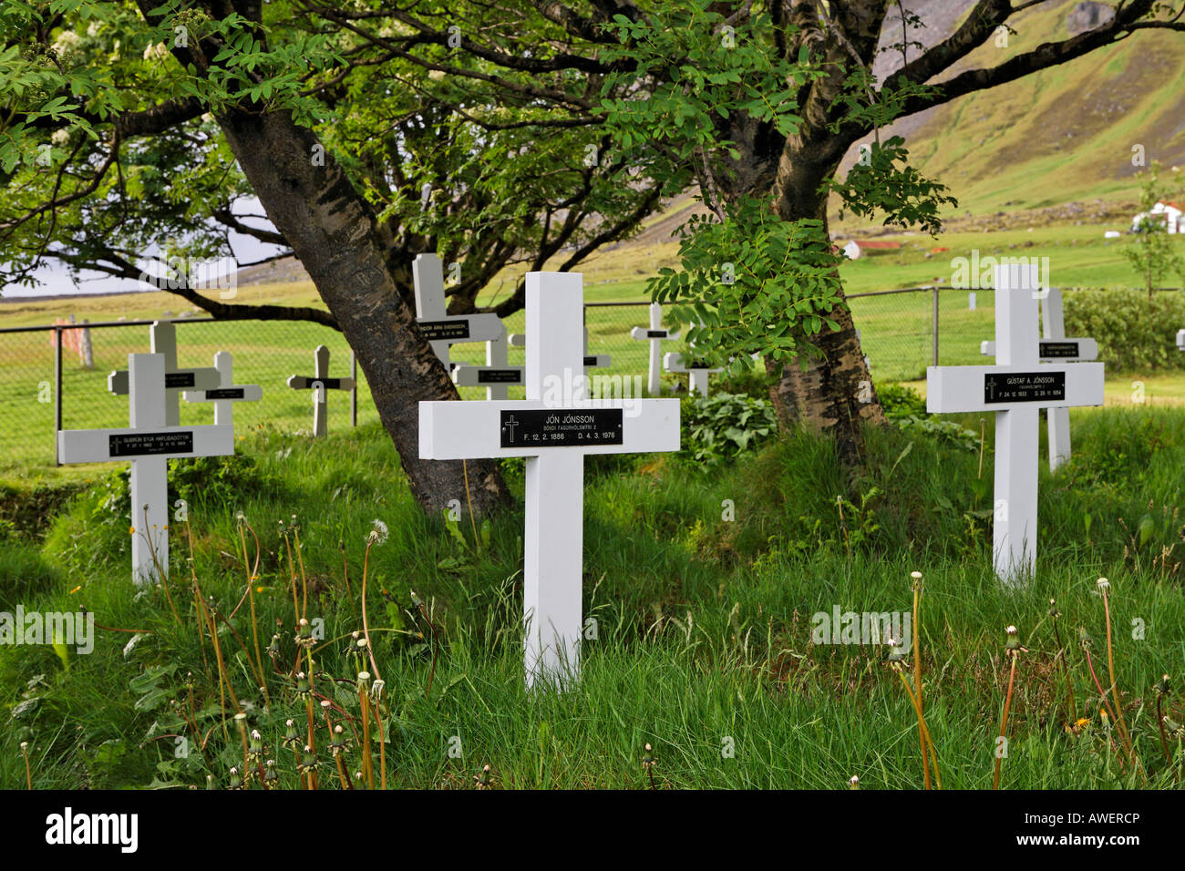 Cimitero di una vecchia chiesa di pago ('Hof'), costa meridionale dell'Islanda, Oceano Atlantico Foto Stock