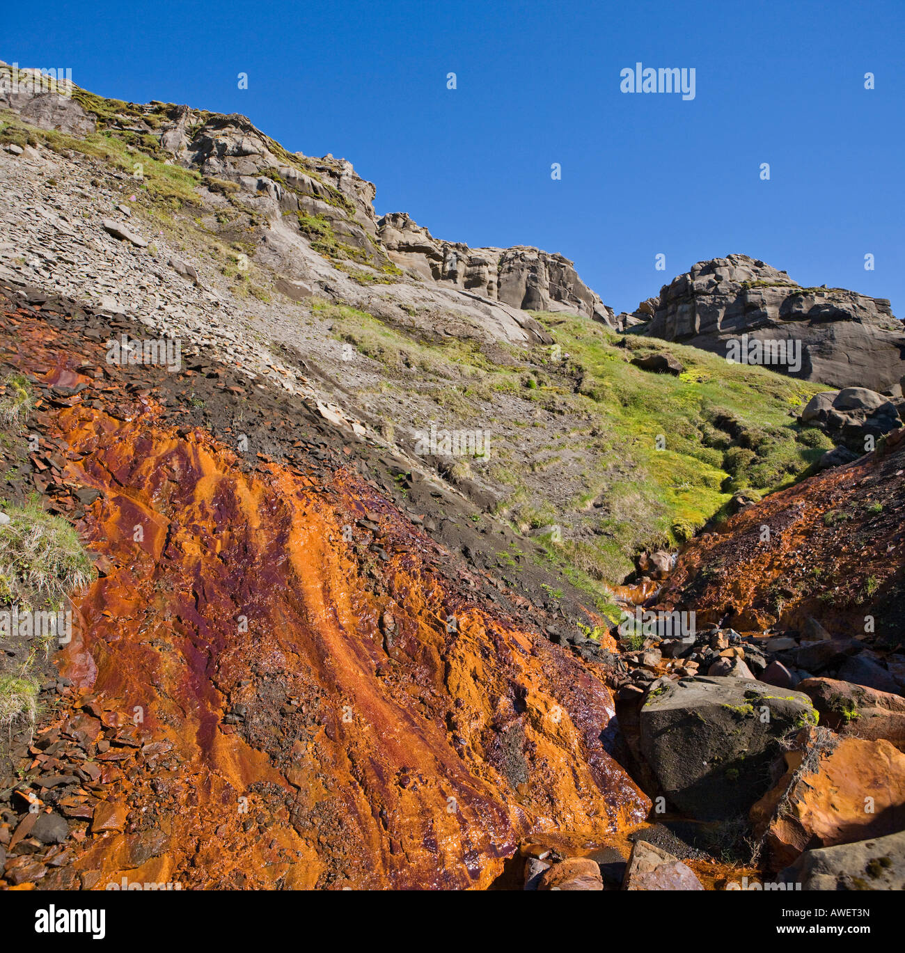 Molla colorata ricca di minerali e di depositi di ferro, Selvellir, Penisola Snaefellsness, Islanda, Oceano Atlantico Foto Stock