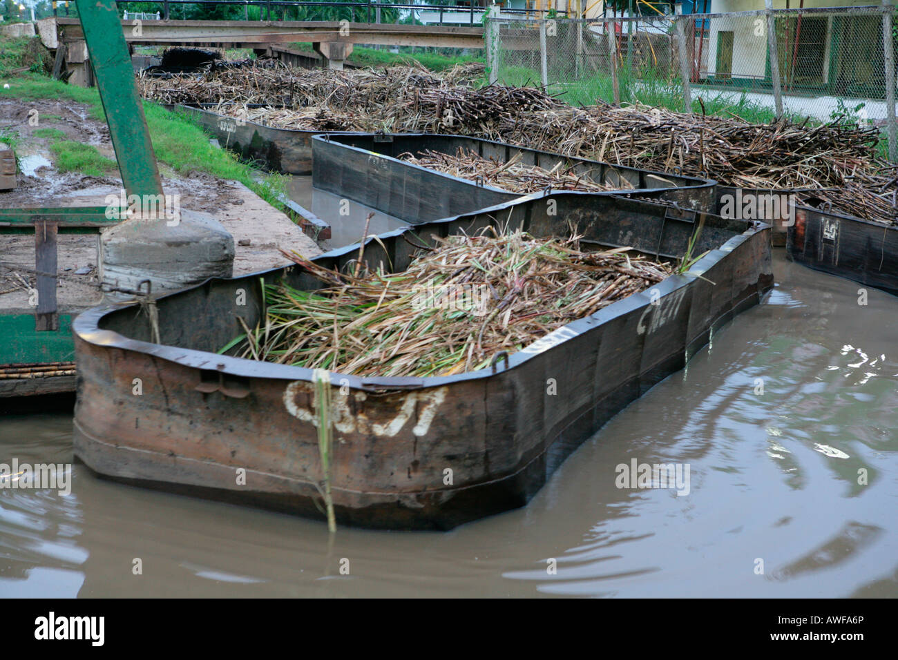 Chiatte utilizzato per il trasporto della canna da zucchero, Demerara Provincia, Guyana, Sud America Foto Stock