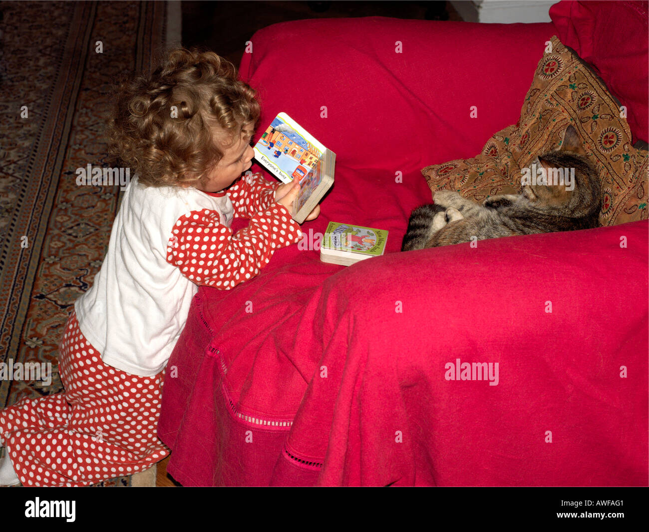 Lettura della ragazza il gatto un Bedtime Story Foto Stock