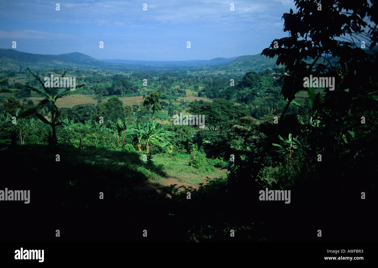 Uganda rurale vicino al confine orientale con il Kenya Foto Stock