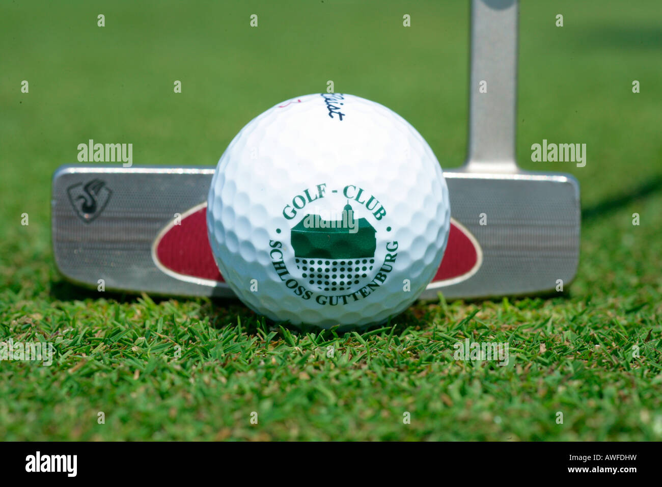 Golf club e pallina da golf, Alta Baviera, Baviera, Germania, Europa Foto Stock
