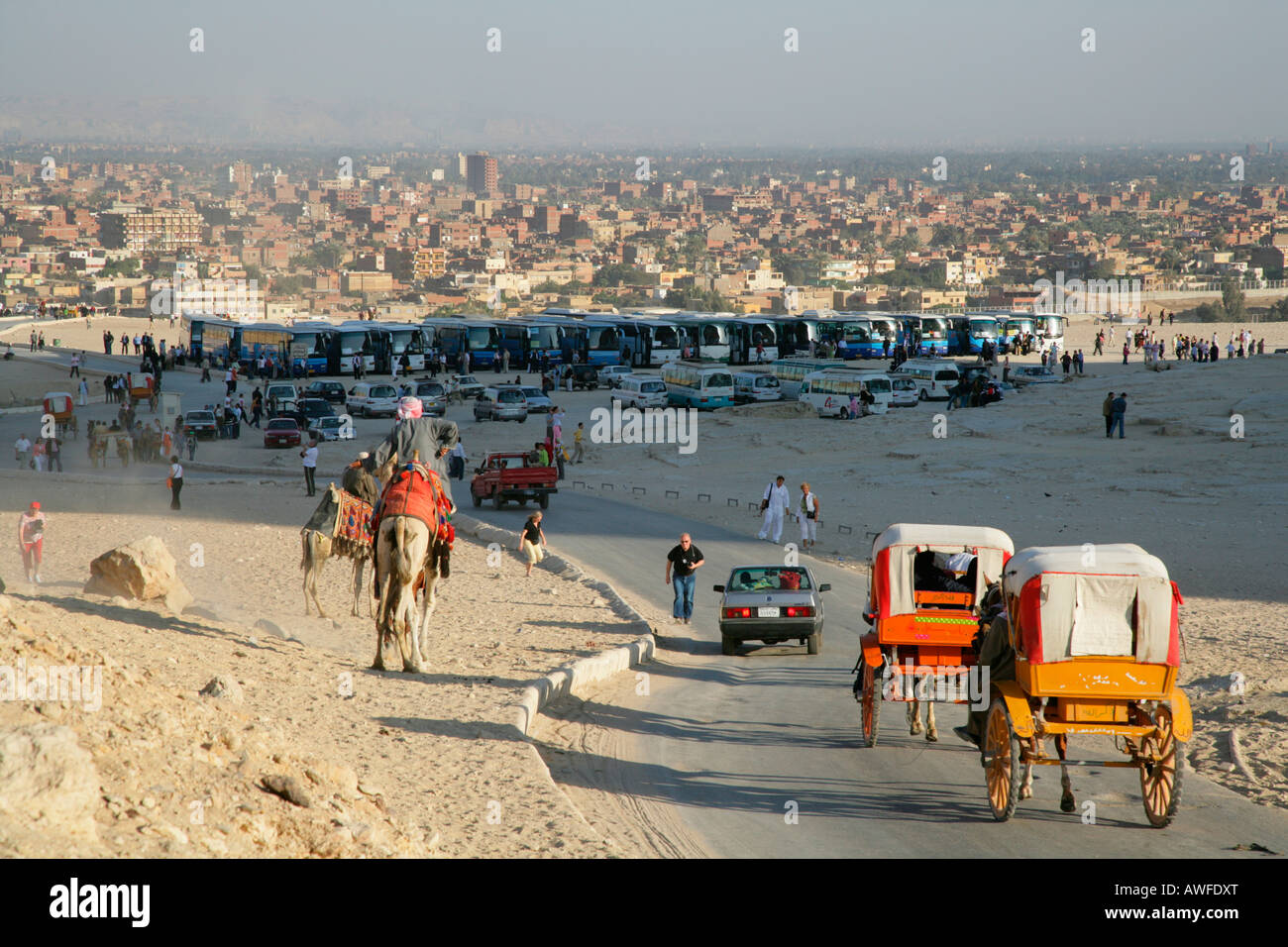 Gli autobus turistici in un parcheggio vicino alle piramidi di Giza in Egitto, Africa Settentrionale, Africa Foto Stock